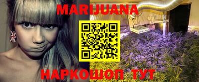 индика Моздок