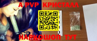 индика Моздок