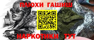 индика Моздок