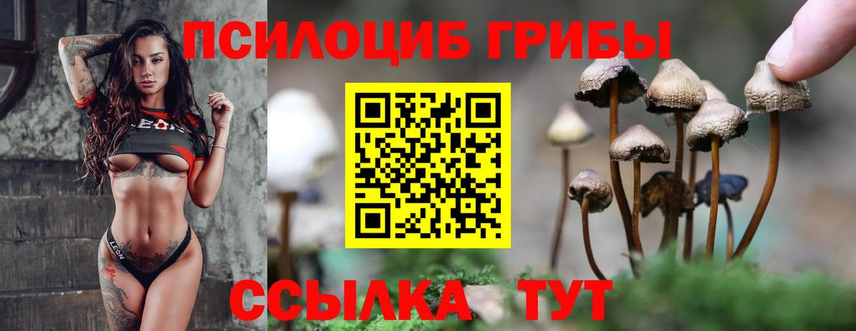 Псилоцибиновые грибы мицелий  Псилоцибиновые грибы прущие грибы  Вход с VPN  Верхняя Салда 